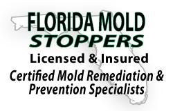 Certified Mold Remediation and Prevention Specialists