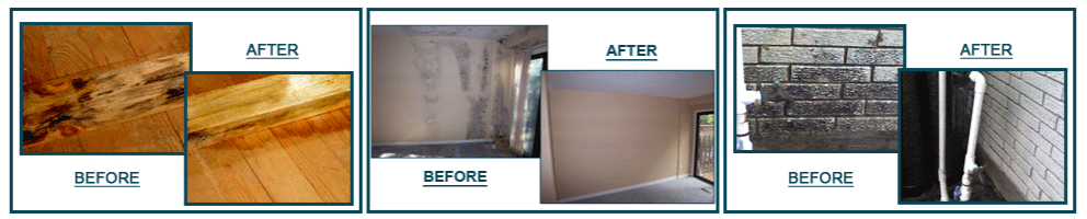 Ft Lauderdale Mold Remediation Before and After Pictures